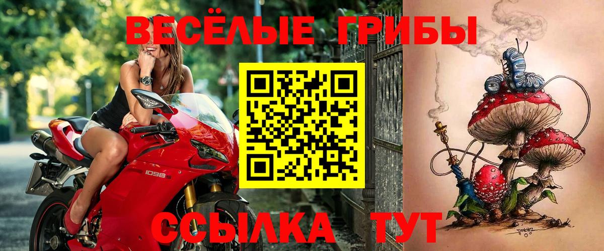 Галлюциногенные грибы ЛСД Кыштым