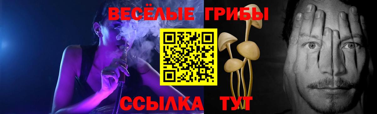 Кыштым  Псилоцибиновые грибы мухоморы  Галлюциногенные грибы ЛСД  Вход с VPN 